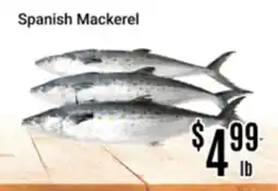 Nations Fresh Foods Spanish Mackerel offer