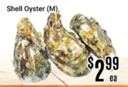 Nations Fresh Foods Shell Oyster (M) offer