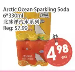 Fresh Palace Supermarket Arctic Ocean Sparkling Soda offer