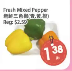Fresh Palace Supermarket Fresh Mixed Pepper offer