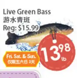 Fresh Palace Supermarket Live Green Bass offer