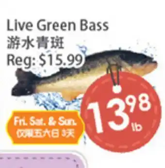 Fresh Palace Supermarket Live Green Bass offer