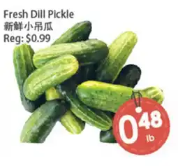 Fresh Palace Supermarket Fresh Dill Pickle offer