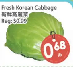 Fresh Palace Supermarket Fresh Korean Cabbage offer