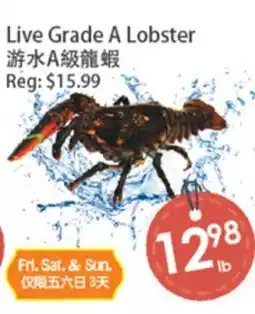 Fresh Palace Supermarket Live Grade A Lobster offer