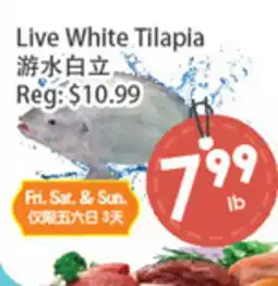 Fresh Palace Supermarket Live White Tilapia offer