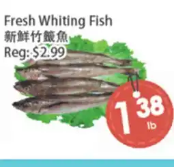 Fresh Palace Supermarket Fresh Whiting Fish offer