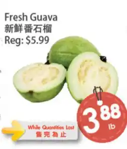 Fresh Palace Supermarket Fresh Guava offer