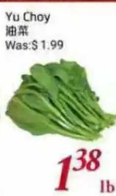 Tone Tai Supermarket Yu Choy offer