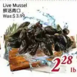 Tone Tai Supermarket Live Mussel offer