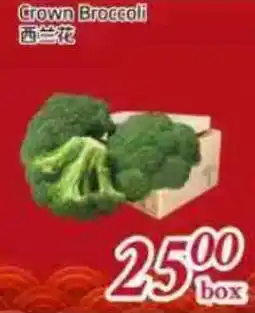 Tone Tai Supermarket Crown Broccoli offer
