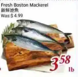 Tone Tai Supermarket Fresh Boston Mackerel offer