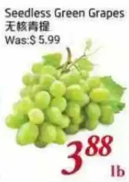 Tone Tai Supermarket Seedless Green Grapes offer