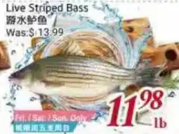 Tone Tai Supermarket Live Striped Bass offer