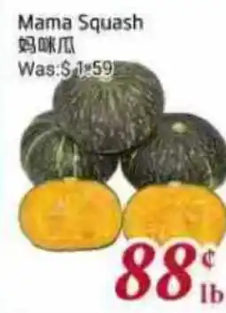 Tone Tai Supermarket Mama Squash offer