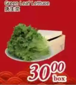 Tone Tai Supermarket Green Leaf Lettuce offer