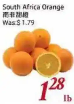 Tone Tai Supermarket South Africa Orange offer