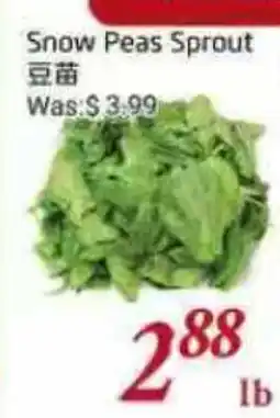 Tone Tai Supermarket Snow Peas Sprout offer