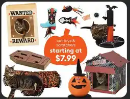 Petsmart cat toys & scratchers offer