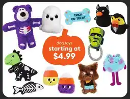 Petsmart dog toys offer