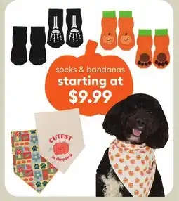 Petsmart socks & bandanas offer