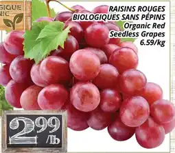 Supermarché PA RAISINS ROUGES BIOLOGIQUES SANS PÉPINS | Organic Red Seedless Grapes offer