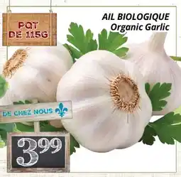 Supermarché PA AIL BIOLOGIQUE | Organic Garlic offer
