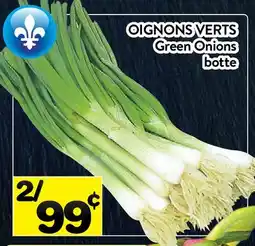 Supermarché PA OIGNONS VERTS | Green Onions offer