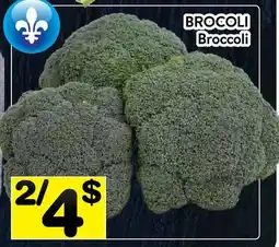 Supermarché PA BROCOLI | Broccoli offer