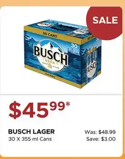 The Beer Store BUSCH LAGER offer