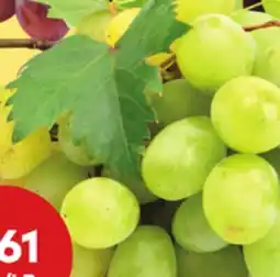 Giant Tiger green seedless grapes offer