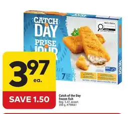 Giant Tiger Catch of the Day frozen fish offer