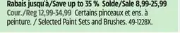 Canadian Tire Selected Paint Sets and Brushes offer