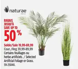 Canadian Tire Selected Artificial Foliage or Grass offer
