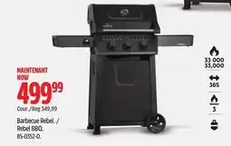 Canadian Tire Napoleon Barbecue Rebel offer