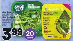 Metro LAITUE AQUAVERTI, GOOD LEAF offer