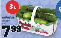Metro CORNICHONS FRAIS | FRESH PICKLES offer