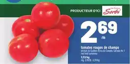 Metro TOMATES ROUGES DE CHAMPS | RED FIELD TOMATOES offer