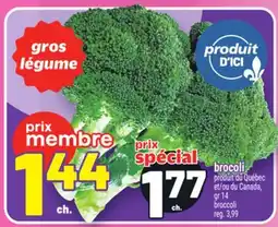 Metro BROCOLI | BROCCOLI offer