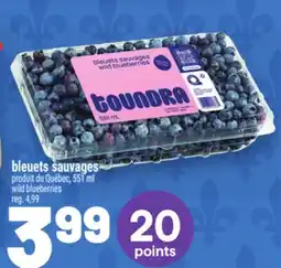 Metro BLEUETS SAUVAGES | WILD BLUEBERRIES offer