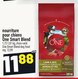 Metro NOURRITURE POUR CHIENS ONE SMART BLEND | ONE SMART BLEND DOG FOOD offer