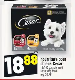 Metro NOURRITURE POUR CHIENS CESAR | CESAR DOG FOOD offer