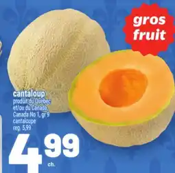 Metro CANTALOUP | CANTALOUPE offer