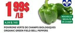 Marches Tau POIVRONS VERTS DE CHAMPS BIOLOGIQUES offer