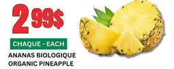 Marches Tau ANANAS BIOLOGIQUE offer