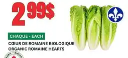 Marches Tau CŒUR DE ROMAINE BIOLOGIQUE offer