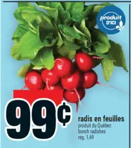 Super C radis en feuilles | bunch radishes offer