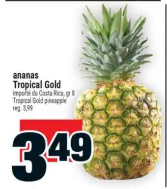 Super C ananas TropicalGold | TropicalGold pineapple offer