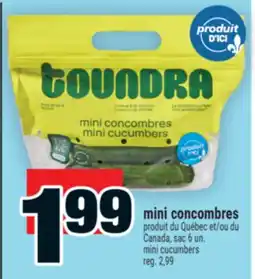 Super C mini concombres offer