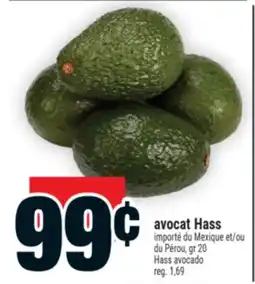 Super C avocat Hass | Hass avocado offer